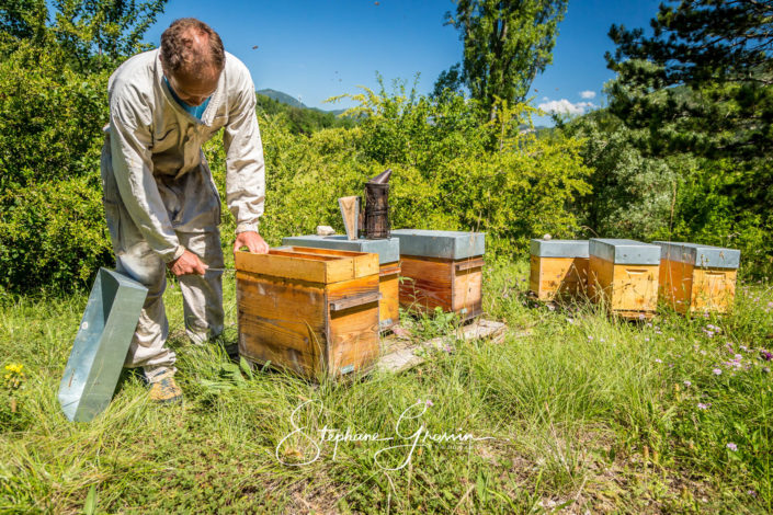 Reportage photo chez un apiculteur dans la Drome