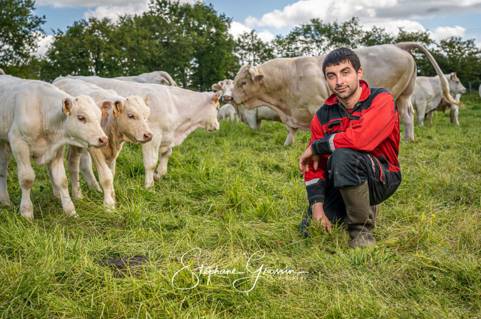 L’importance de l’image de marque agricole à travers la photographie