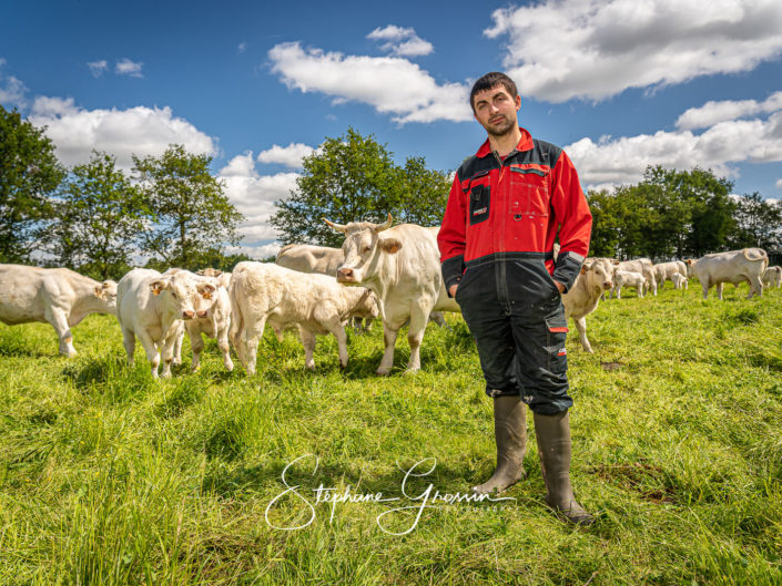 Photographe portrait d’agriculteur éleveur de vaches charolaises en Vendée. Portraits photo réalisés pour la CAVAC