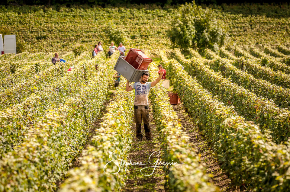 Comment la photographie métier change la perception de l’agriculture