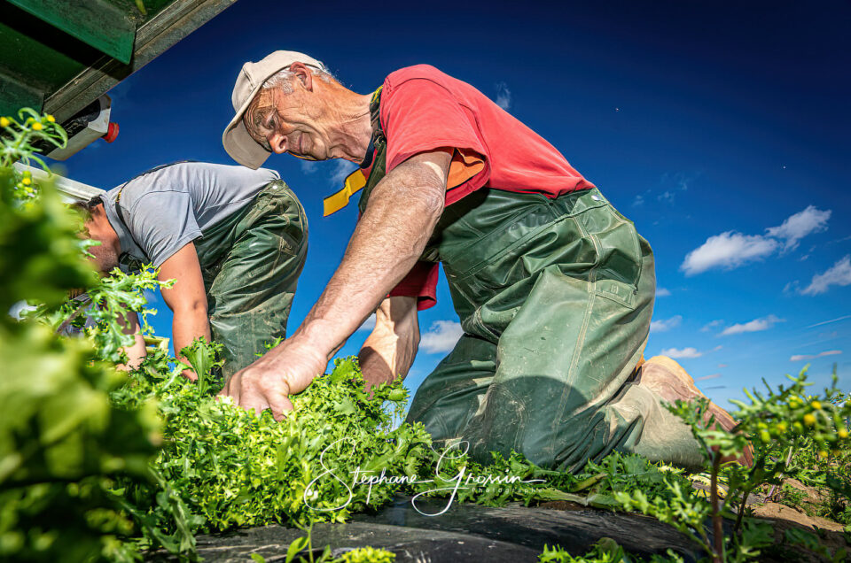 Comment la photographie rurale valorise les métiers de l’agriculture