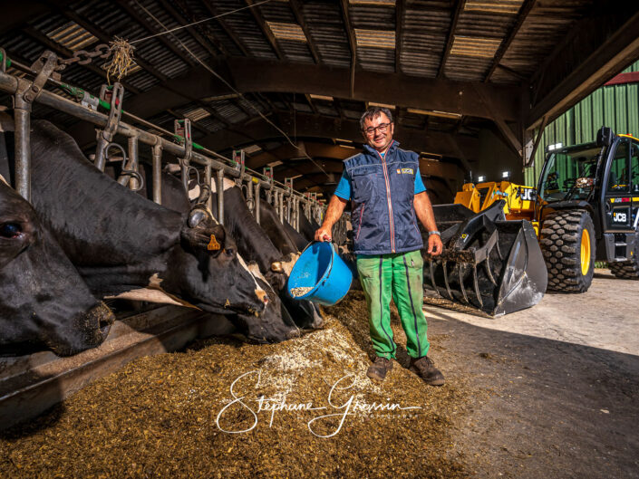 Un éleveur utilise une fourche pour nourrir ses bovins dans une étable. Un télescopique JCB est visible en arrière-plan, utilisé pour le transport du foin. Cette photo montre le travail acharné et la passion nécessaires pour élever du bétail dans l'industrie agricole.