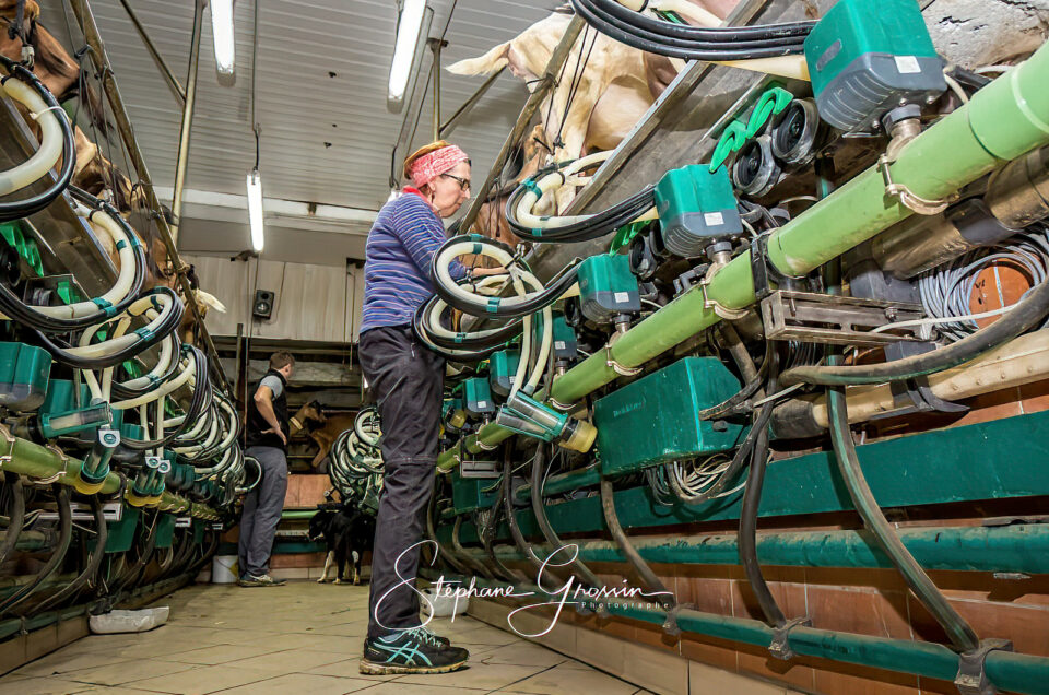 L’identité visuelle de votre ferme : stratégies de marketing agricole