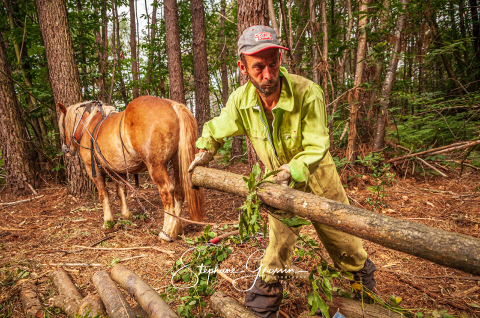 Mettre en valeur le travail agricole : l’impact du photographe professionnel