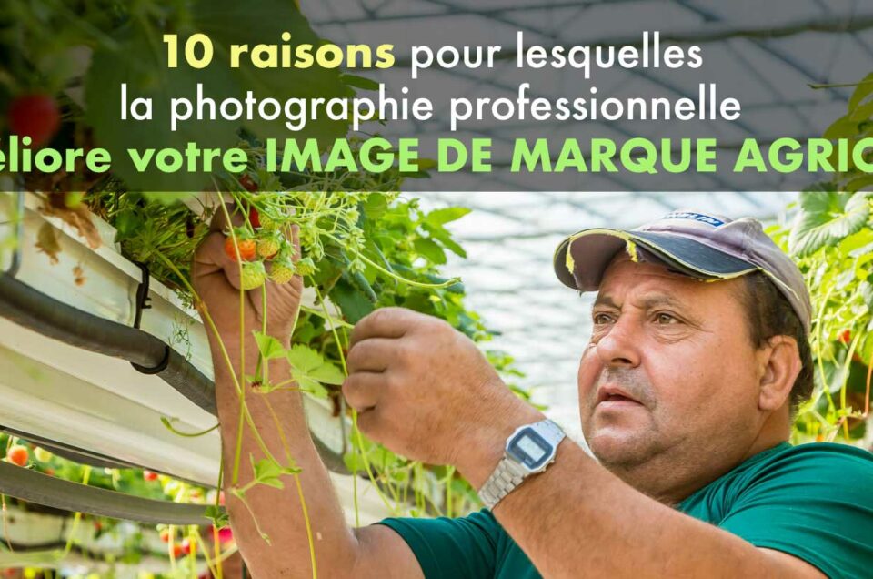 10 raisons pour lesquelles la photographie professionnelle améliore votre image de marque agricole
