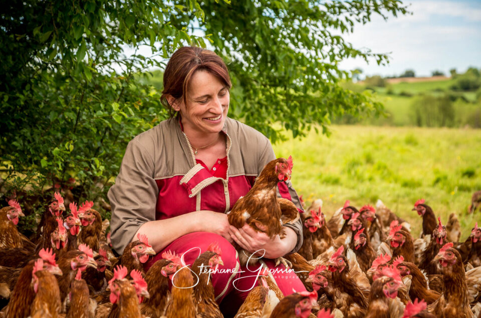 Reportage photo dans un élevage de poules pondeuses en plein air de Loué pour illustrer l’activité agricole d’un élevage avicole