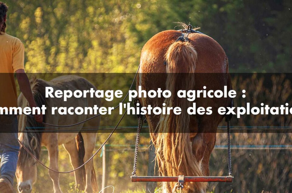 Reportage photo agricole : Comment raconter l’histoire des exploitations