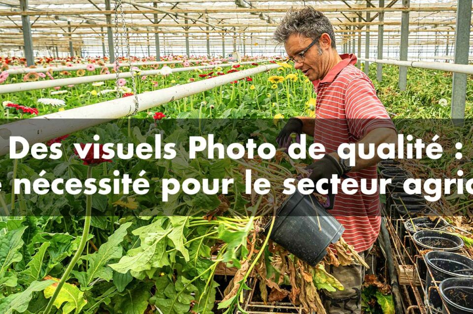 Des visuels Photo de qualité : une nécessité pour le secteur agricole